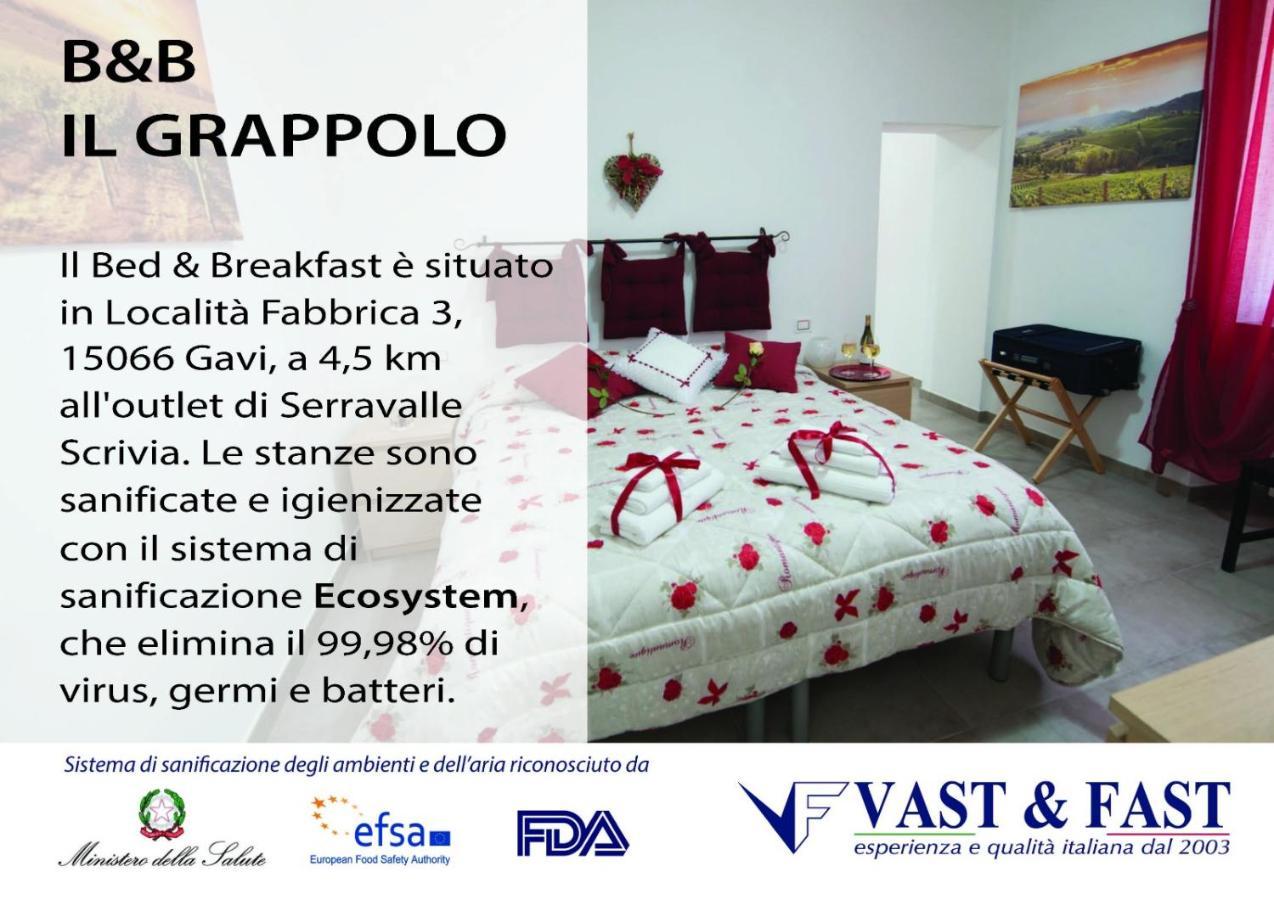 Il Grappolo -Affittacamere- Gavi Luaran gambar